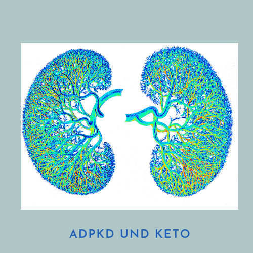 Positive Auswirkungen der Ketose auf die Zystennieren (ADPKD). Meine Keto Reise.