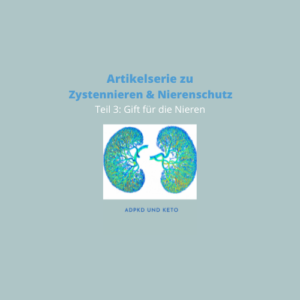Beitragsbild zu Zystennieren & Nierenschutz